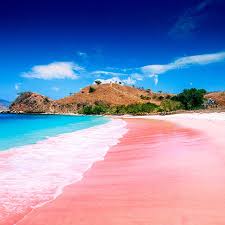 Komodo tour 2 days 1 night